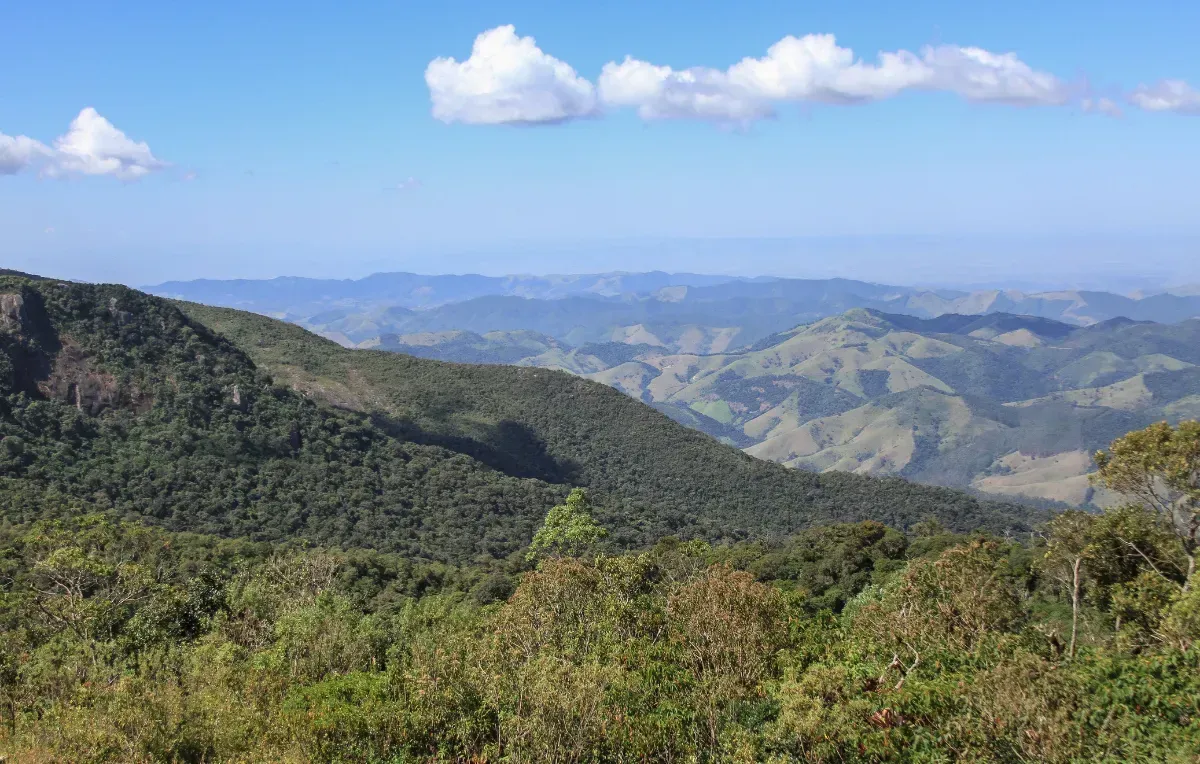 Imagem da galeria de Monte Verde